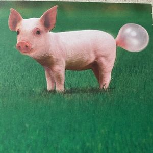 Meet your Posher, Katey